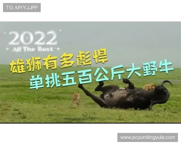 单挑牛牛比赛技巧分享助你在竞技中脱颖而出赢得更多奖励